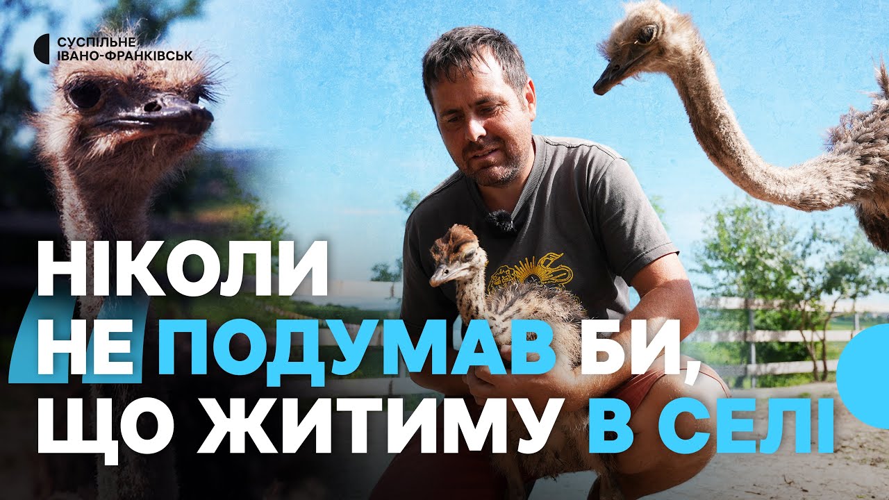 Як сім’я із Запоріжжя завела страусів та почала нове життя на Франківщині