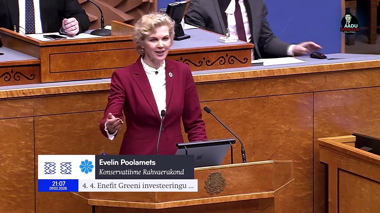 Evelin Poolamets: Tuulepargid neelavad miljoneid eurosid, aga talvel meil elektrit ikka ei ole