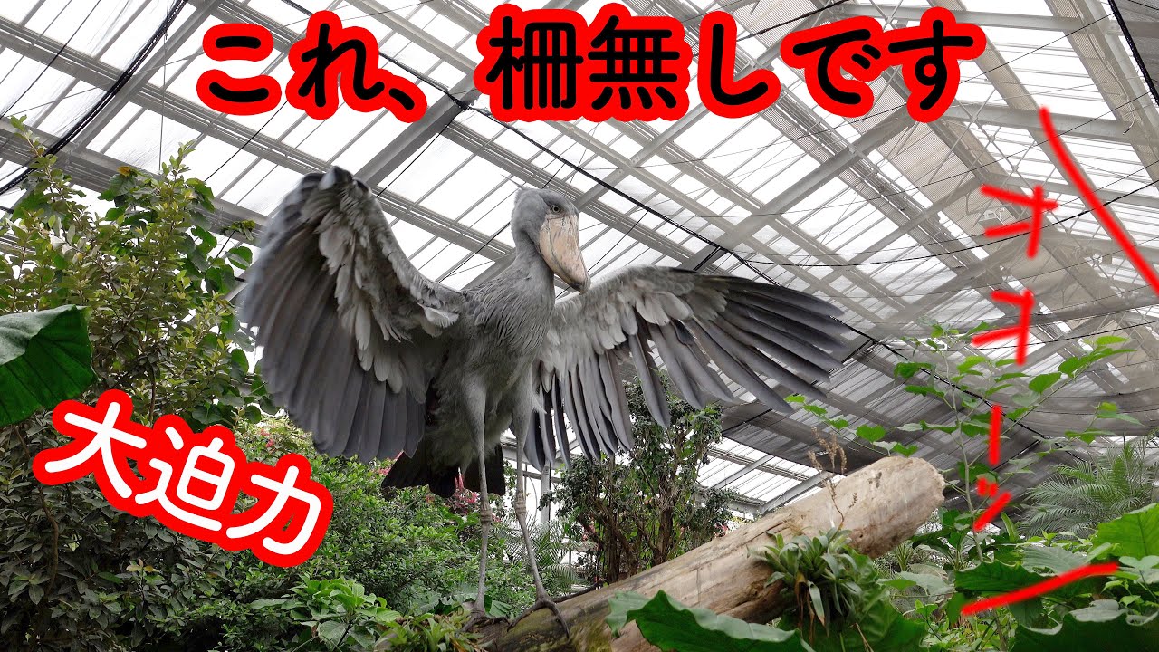 よりパワーアップした