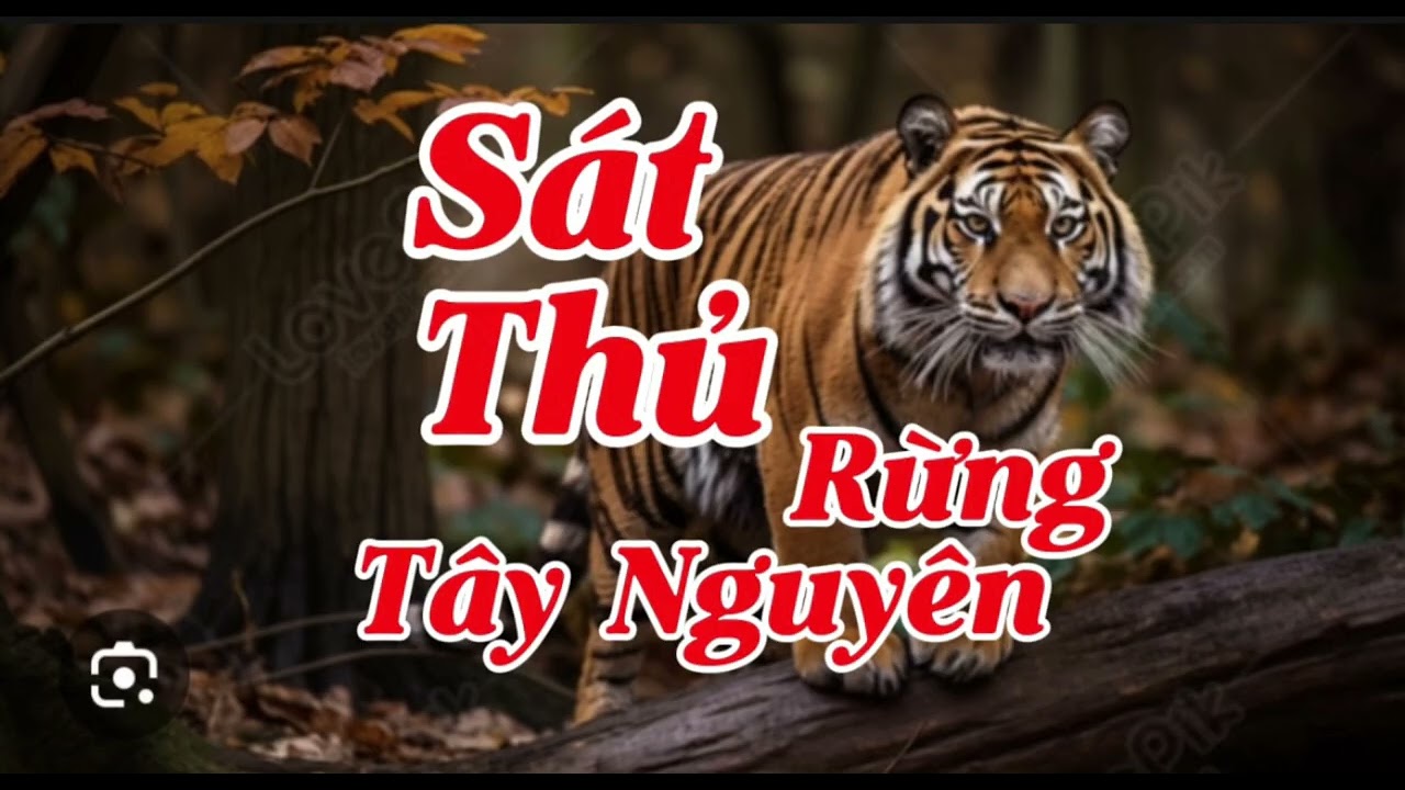 SÁT THỦ RỪNG TÂY NGUYÊN | Lê Anh diễn đọc