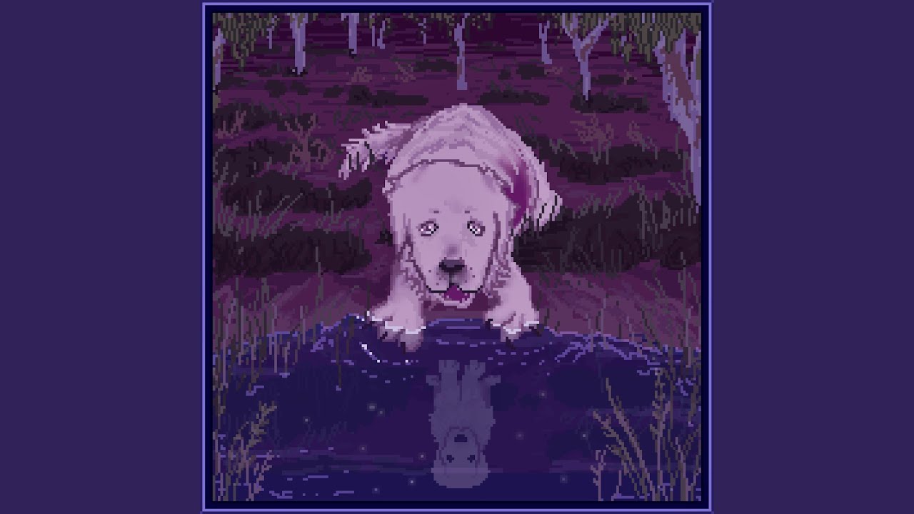 Lost Dogs