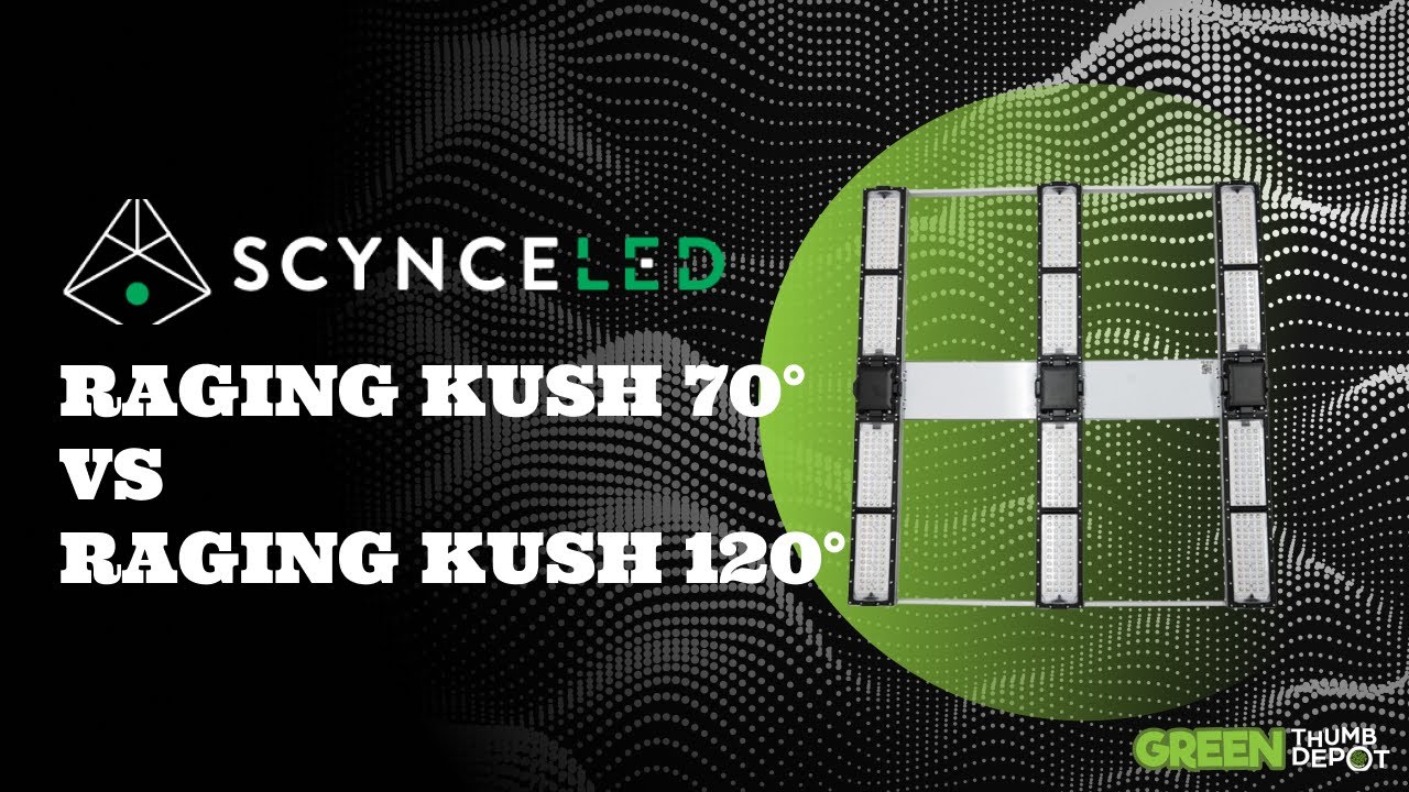 Scynce LED Grow Lights Raging Kush II 70&deg; vs 120&deg;