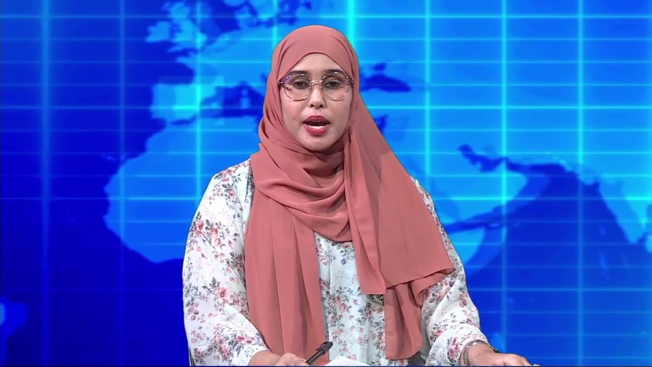 Warka Universal TV 18 05 2024