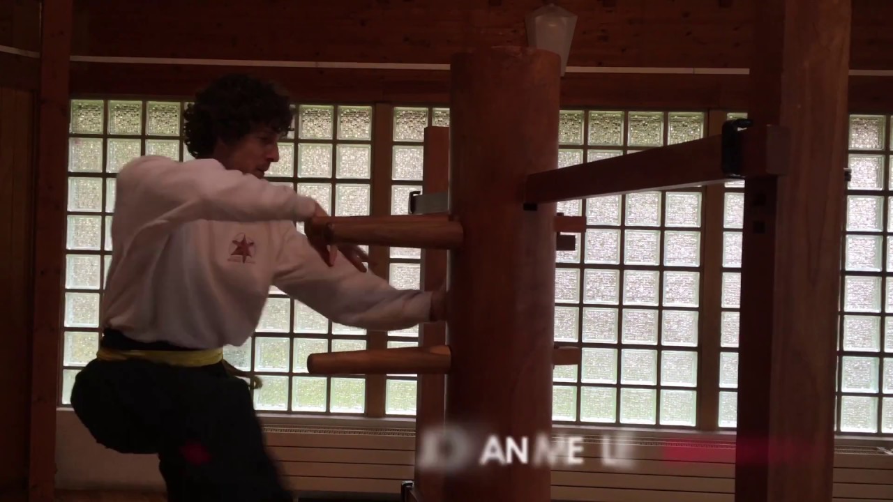 Johan Merley - Wing Chun Chatou 2017 - Stage mannequin de bois