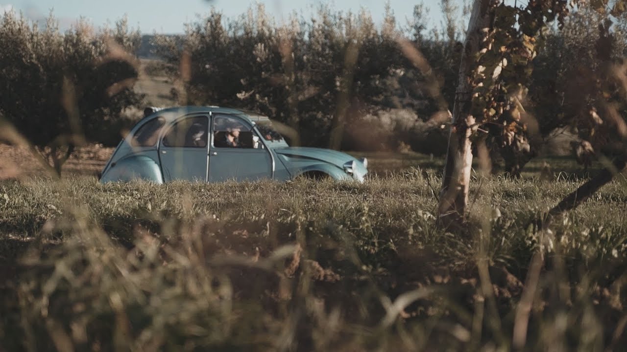 Rudi Bučar - Kakšni so takšni