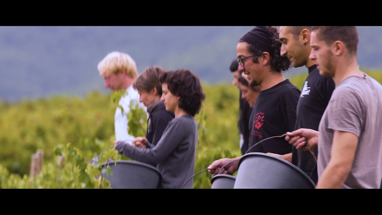 Au fil de l'eau, la saga vidéo du webdoc des vins du Beaujolais