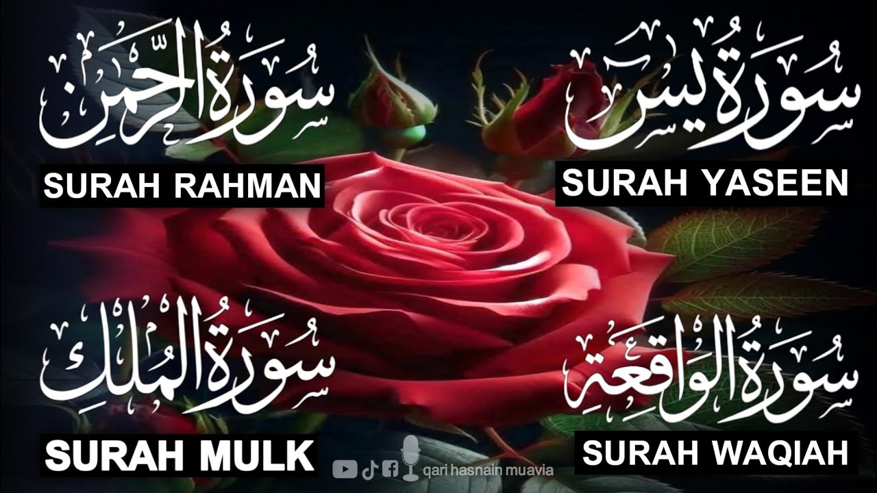 Surah Yasin ❤️ (Makki), Rahman, Waqiah & Mulk | Ep 318 | Daily Quran Recitation & Blessings
