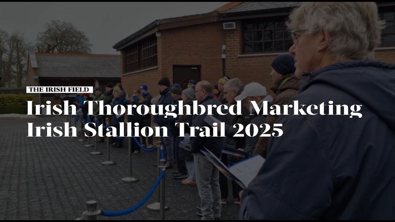 ITM Irish Stallion Trail 2025