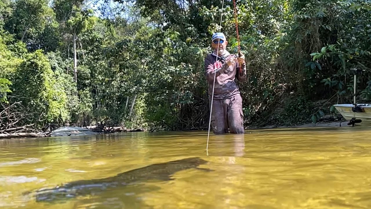 ELE ERA GIGANTE COMEU O SAPO, TRAIRÃO MONSTRO