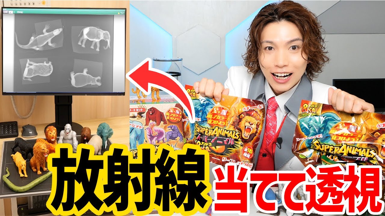 開封前の中身をレントゲンで透視してみた！