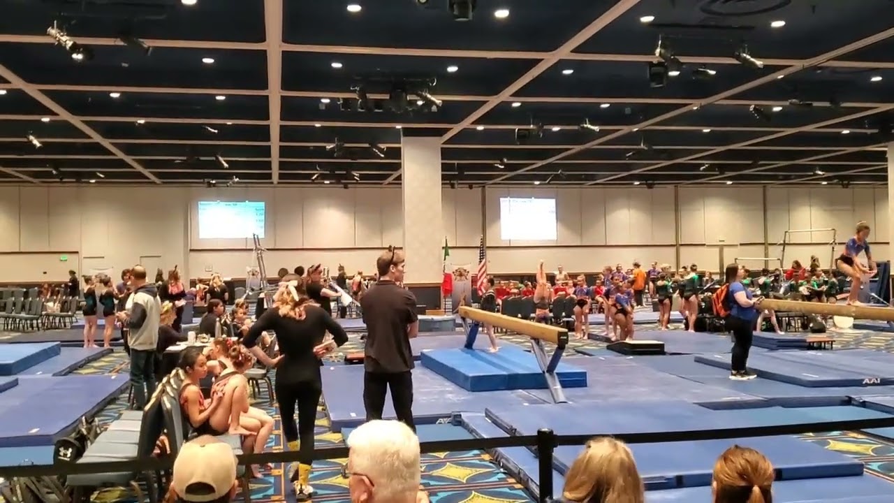 Great Destinations Gymnastics Invitational 2026 Disneyland Hotel