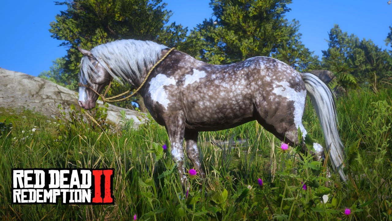 ЛЕГЕНДАРНАЯ КОННАЯ ОХОТА В RDR 2!!