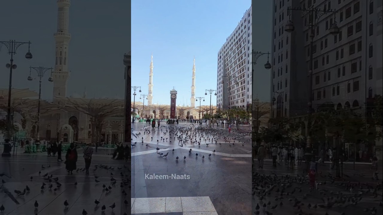 🕋 Roohani Sukoon Ka Zariya Madina 💚 | Heart Touching Naat 2025 🌙 #viralshorts