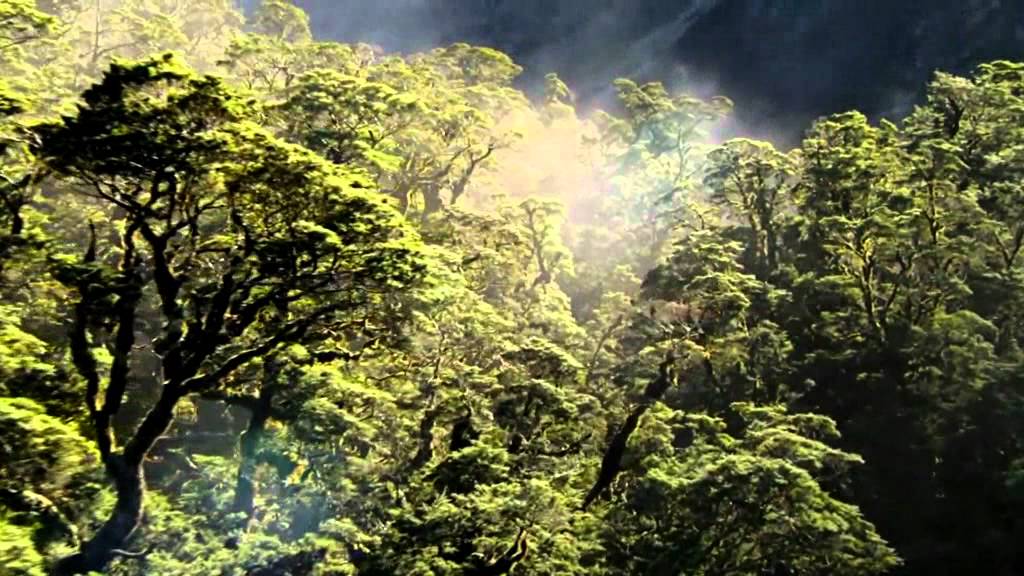 Serenity (Original Mix) - Sound Apparel