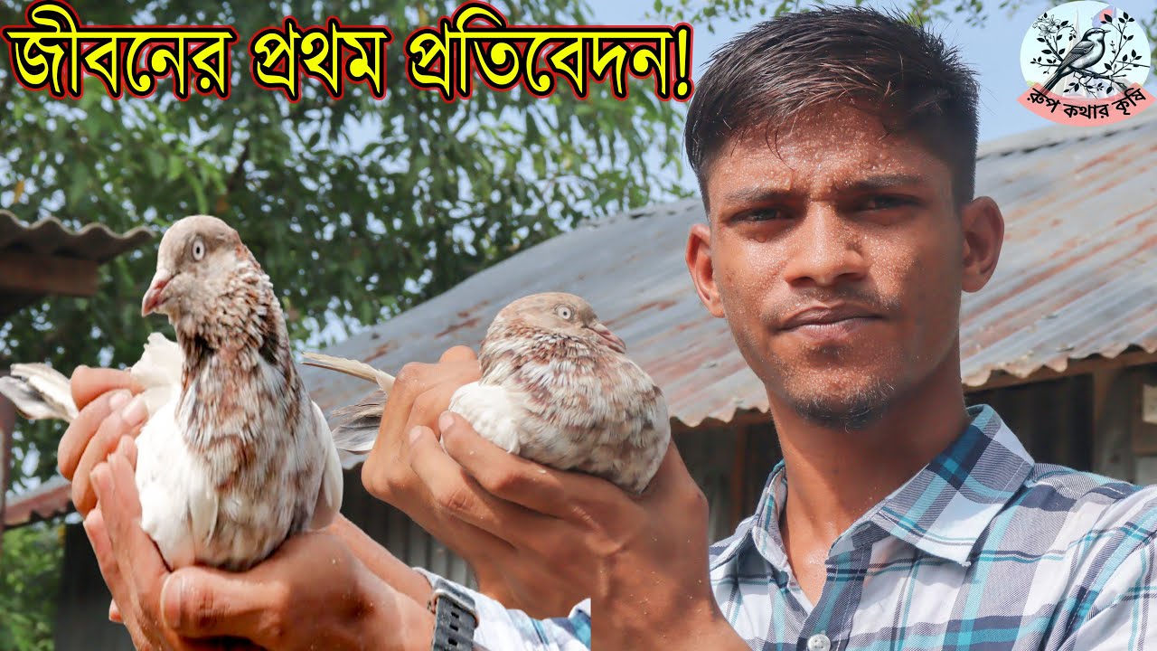 জীবনের প্রথম প্রতিবেদন আপনার সবাই আমার জন্য দোয়া করবেন। আমার ছোট খামারে জন্য !  rupkothar krishi