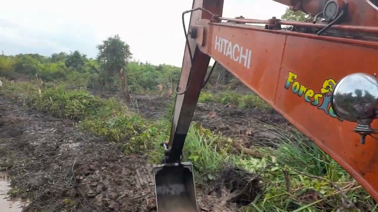 buka lahan rawa pakai excavator