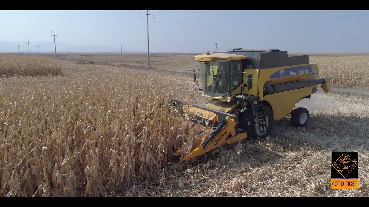 ELİBOL CORN HEADER ~ MISIR HASAT TABLASI