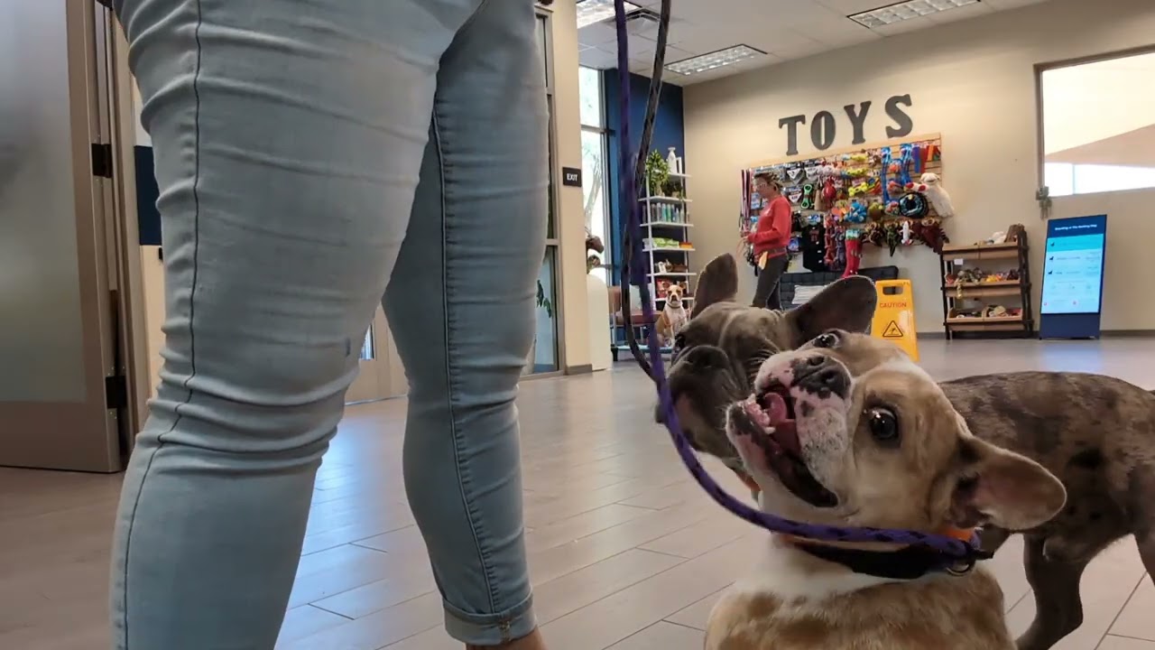 Oliver Training 7.31.24