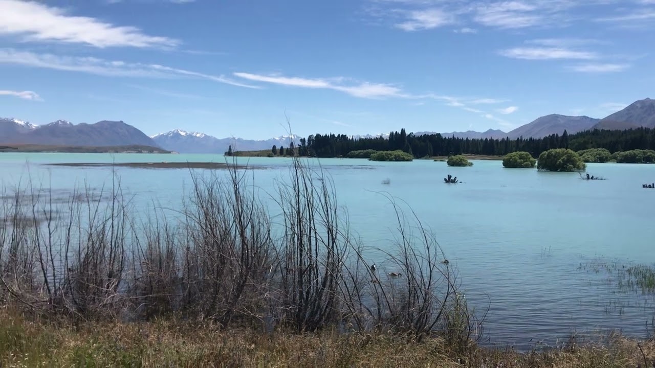 New Zealand impression