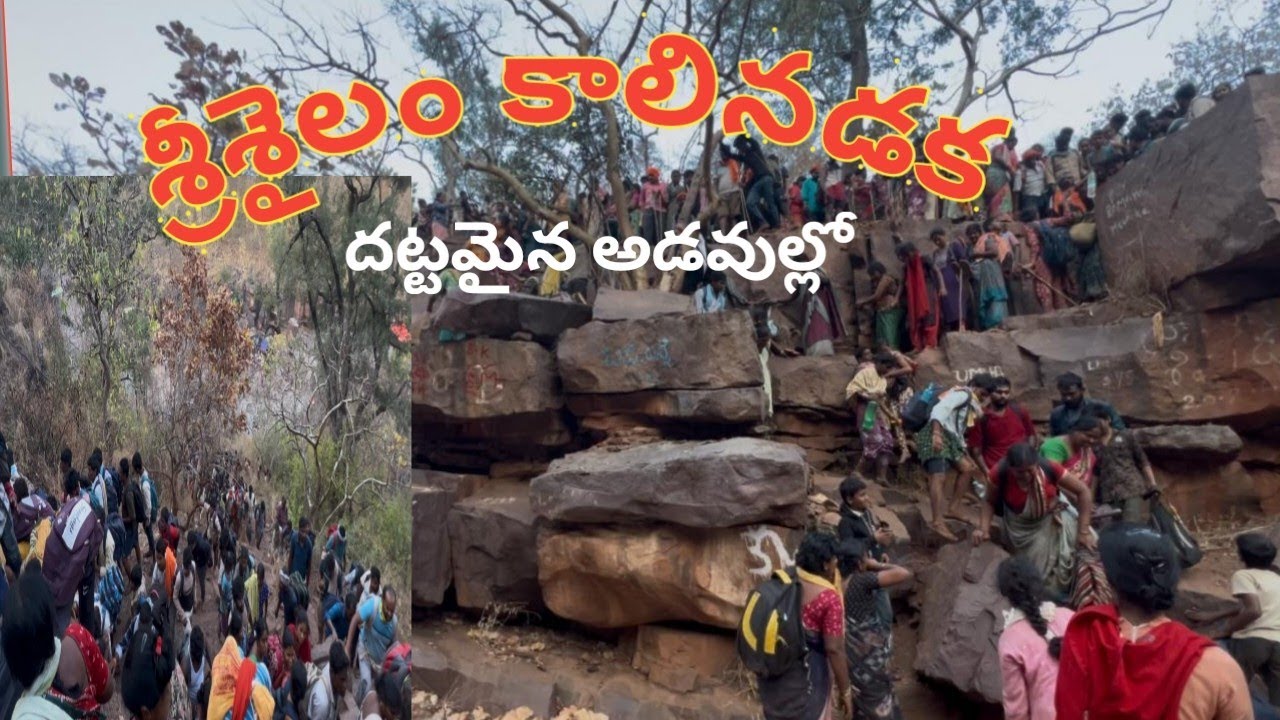 #శ్రీశైలం మహాక్షేత్రంకి  #మహాశివరాత్రీకి కాలినడక ప్రయాణము 2025@Siridivine