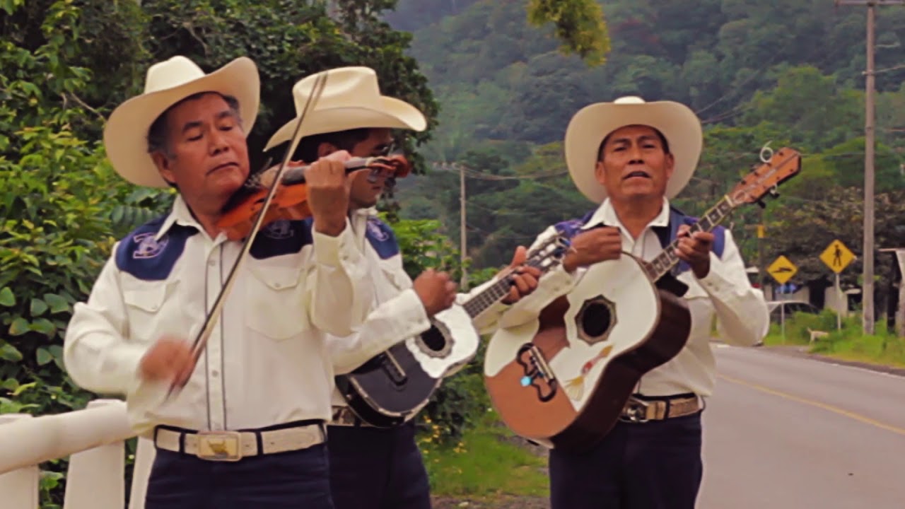 Mi Dulce Paloma - Trío Calamar