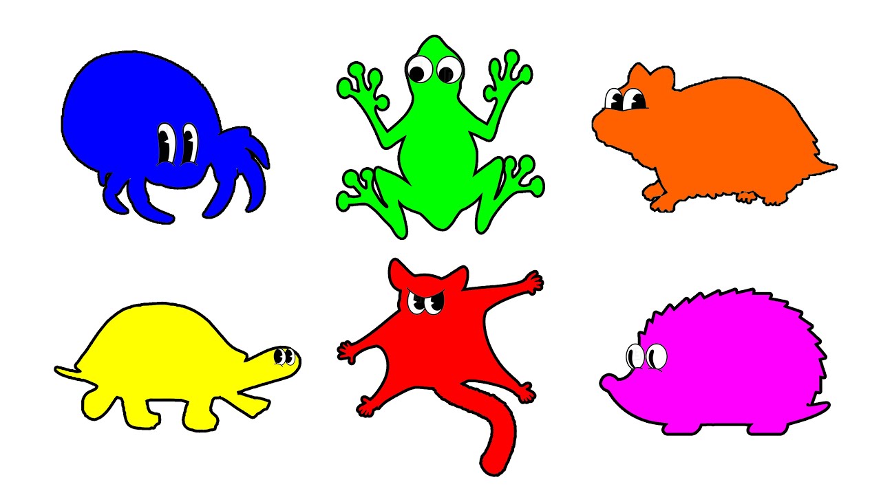 Pets : Turtle, Frog, Sugar Glider, Hamster, Hedgehog, Hermit Crab