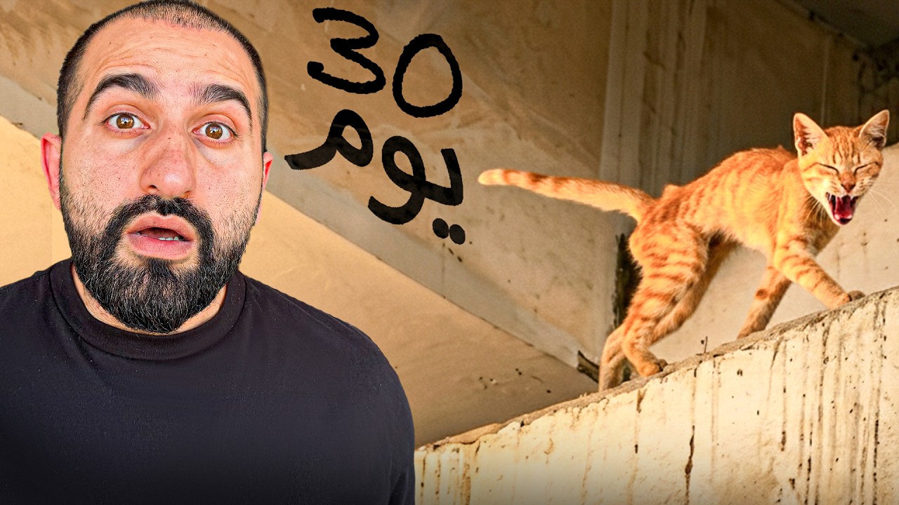 قطة محبوسة تحت جسر لمدة ٣٠ يوم !
