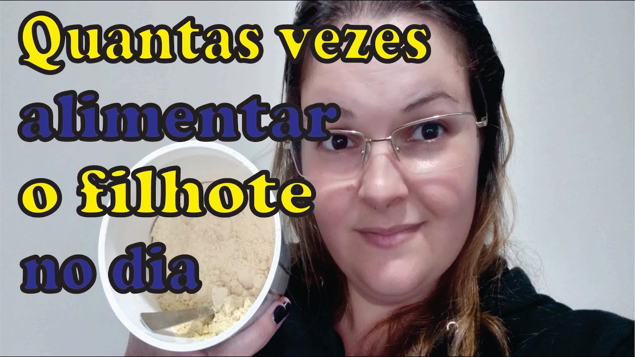 Quantas vezes alimentar o filhote na papinha