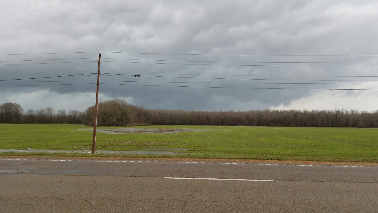 03/09/19 Heavy winds in the Corinth ,Alcorn county , Wenasoga area