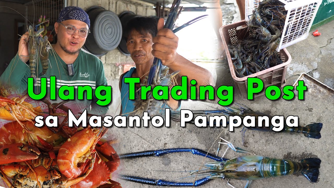 Ulang Farming, Emerging Industry