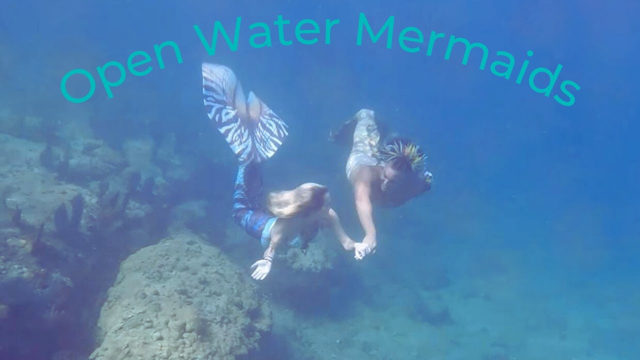 Mermaids Swimming on the South Florida Coast
