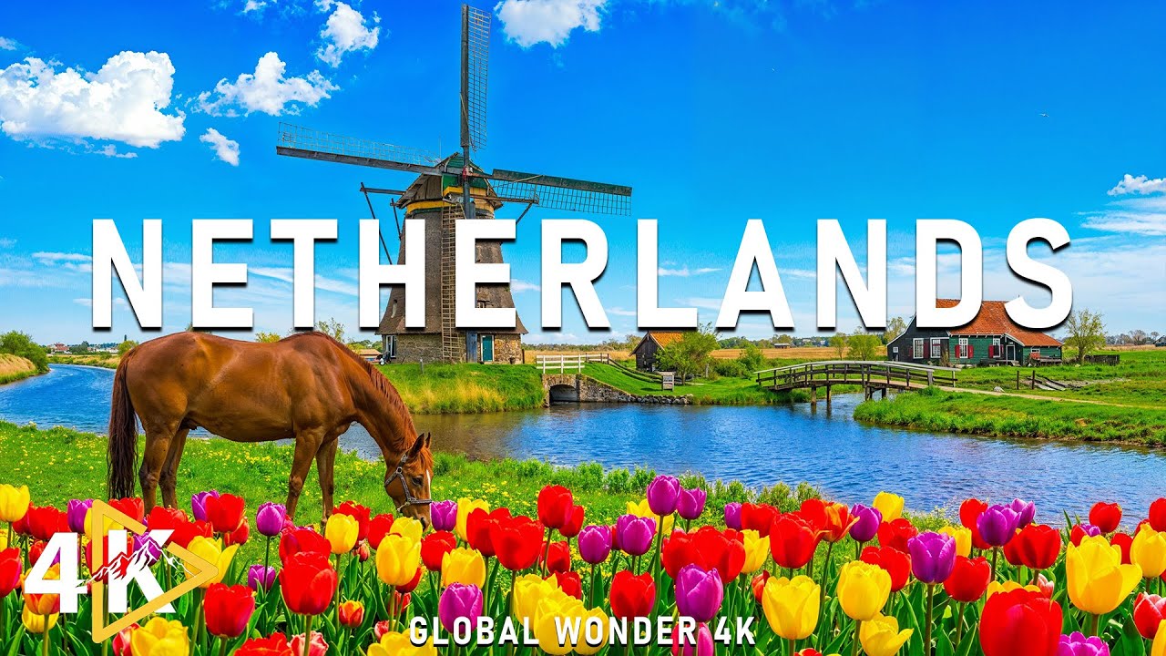 Netherlands 4K | Living Landscape of Light – Open Horizons, Soft Winds & Quiet Harmony