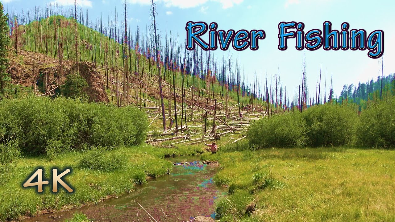 STREAM DREAM ✨ Solo Backpacking and Small River Fishing Catch and Cook! 🐕‍🦺