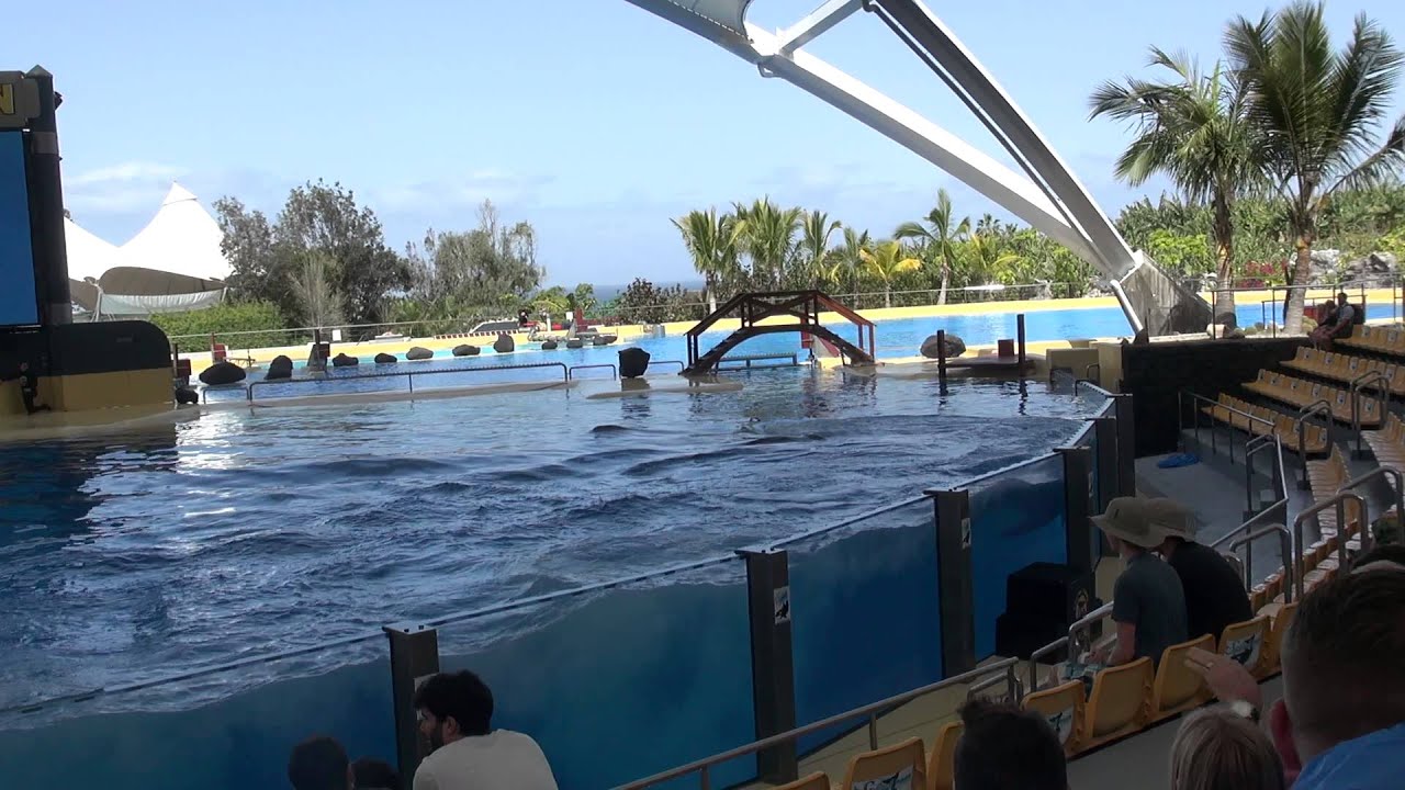 Teneryfa 2015 - Loro Parque