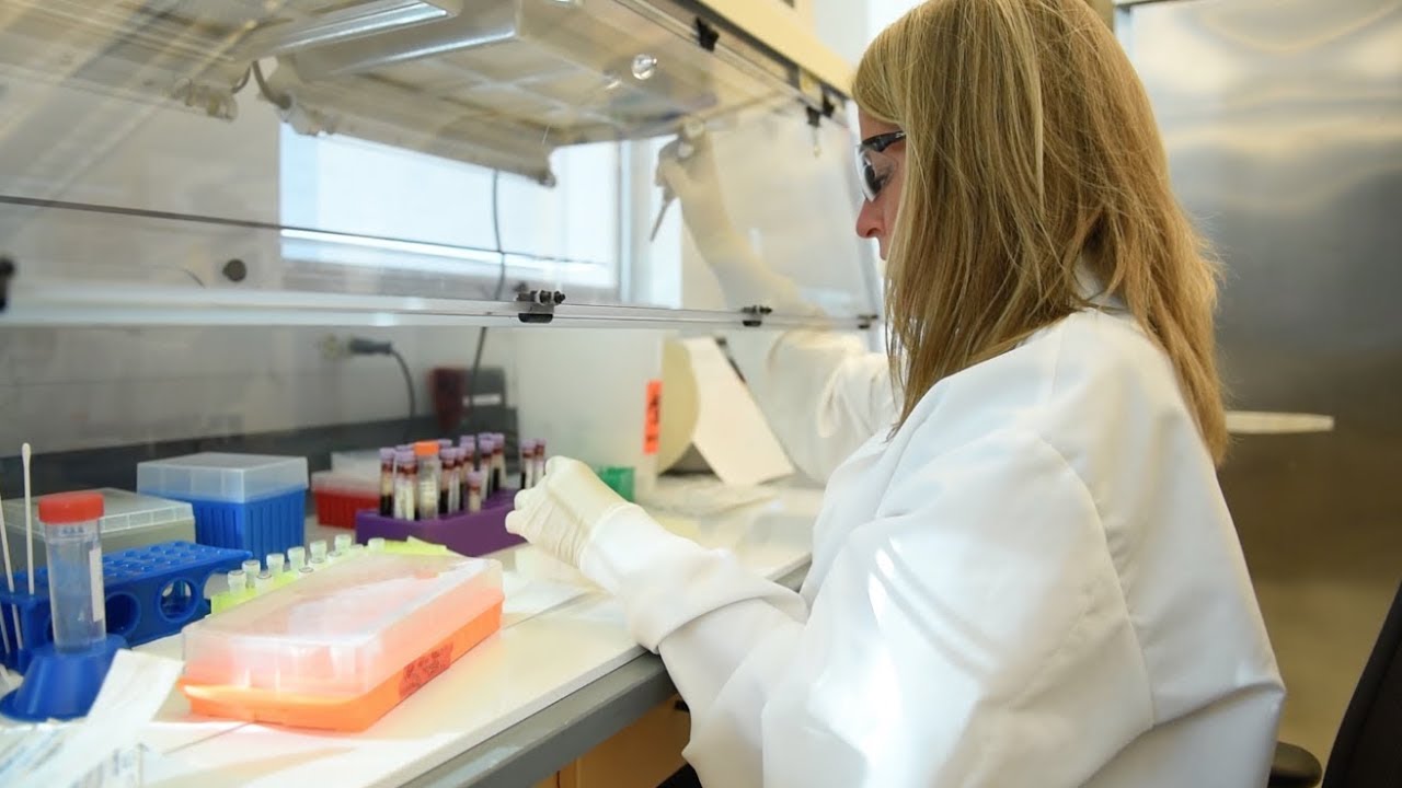 Applying Science, Technology, Engineering, and Mathematics at the Bureau