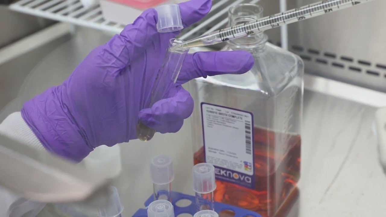 Doctor discusses progress on promising COVID-19 vaccine