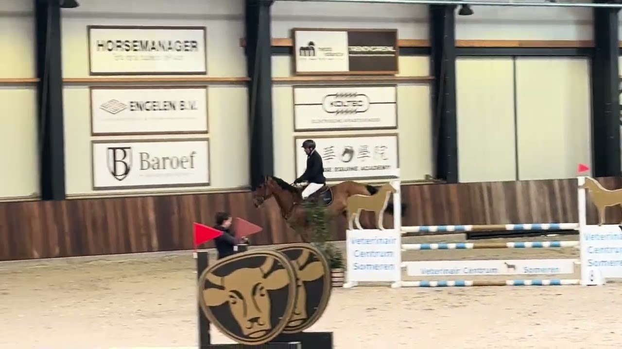 Navi Right / 1m05 / Deurne