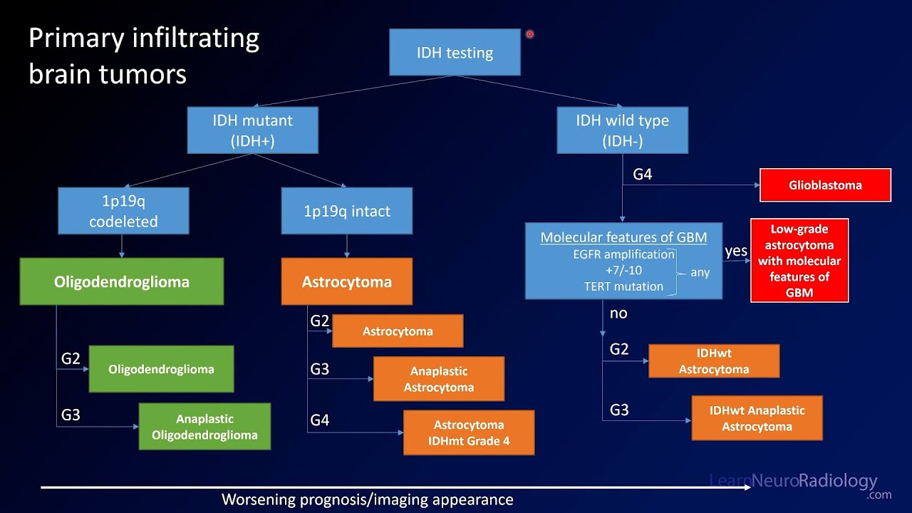 Emergency Imaging of Brain Tumors: Classification