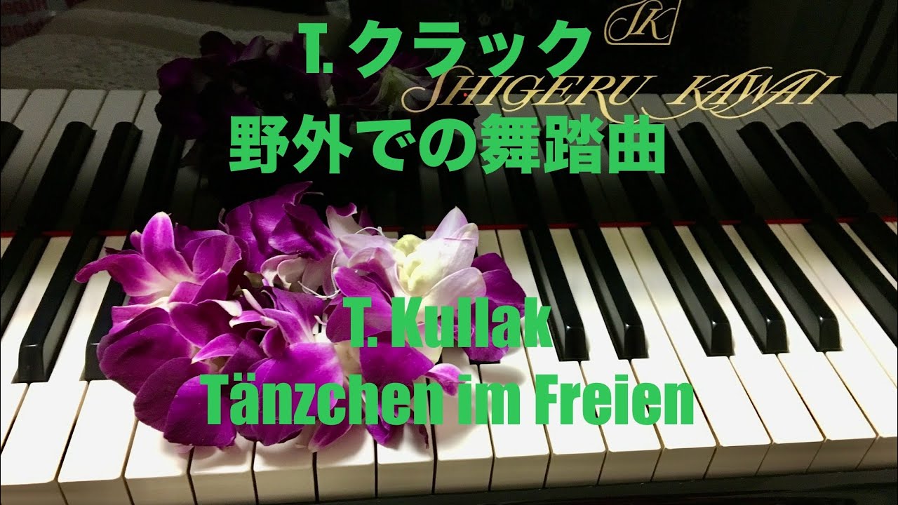 ♪野外での舞踏曲