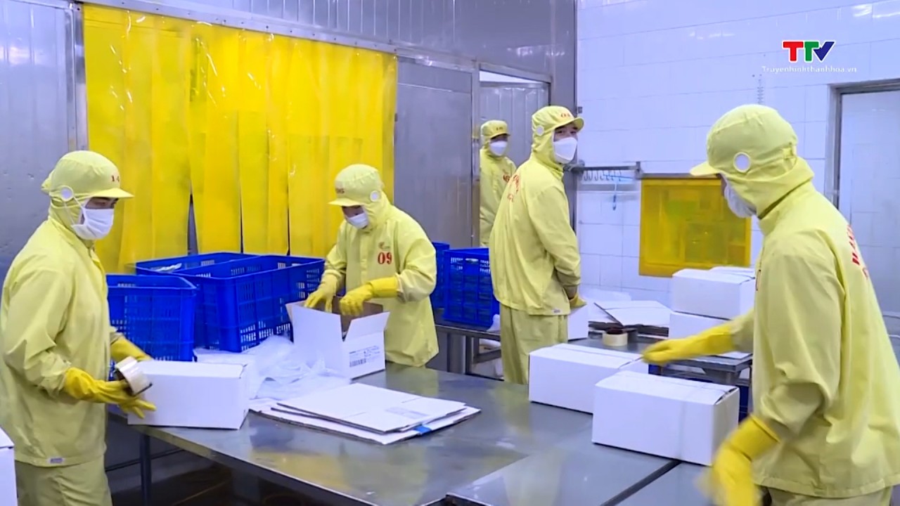 Xuất khẩu nông lâm thủy sản tăng trên 17%