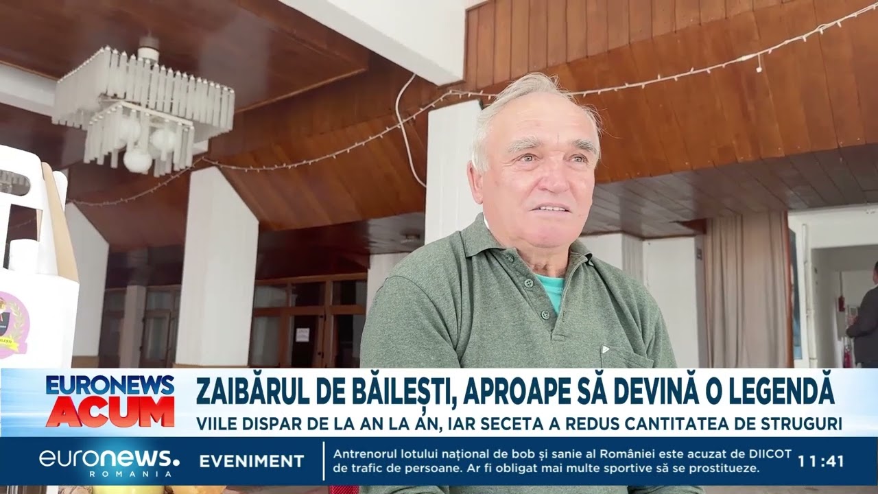 Zaibărul de Băilești, pe cale să devină legendă. Viile dispar, iar seceta reduce recolta de struguri