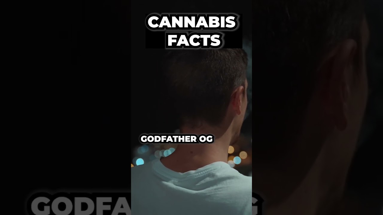 STRONGEST CANNABIS STRAINS 2023