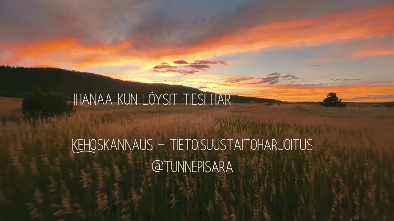 Kehoskannaus kesäisellä niityllä - Tietoisuustaito harjoite