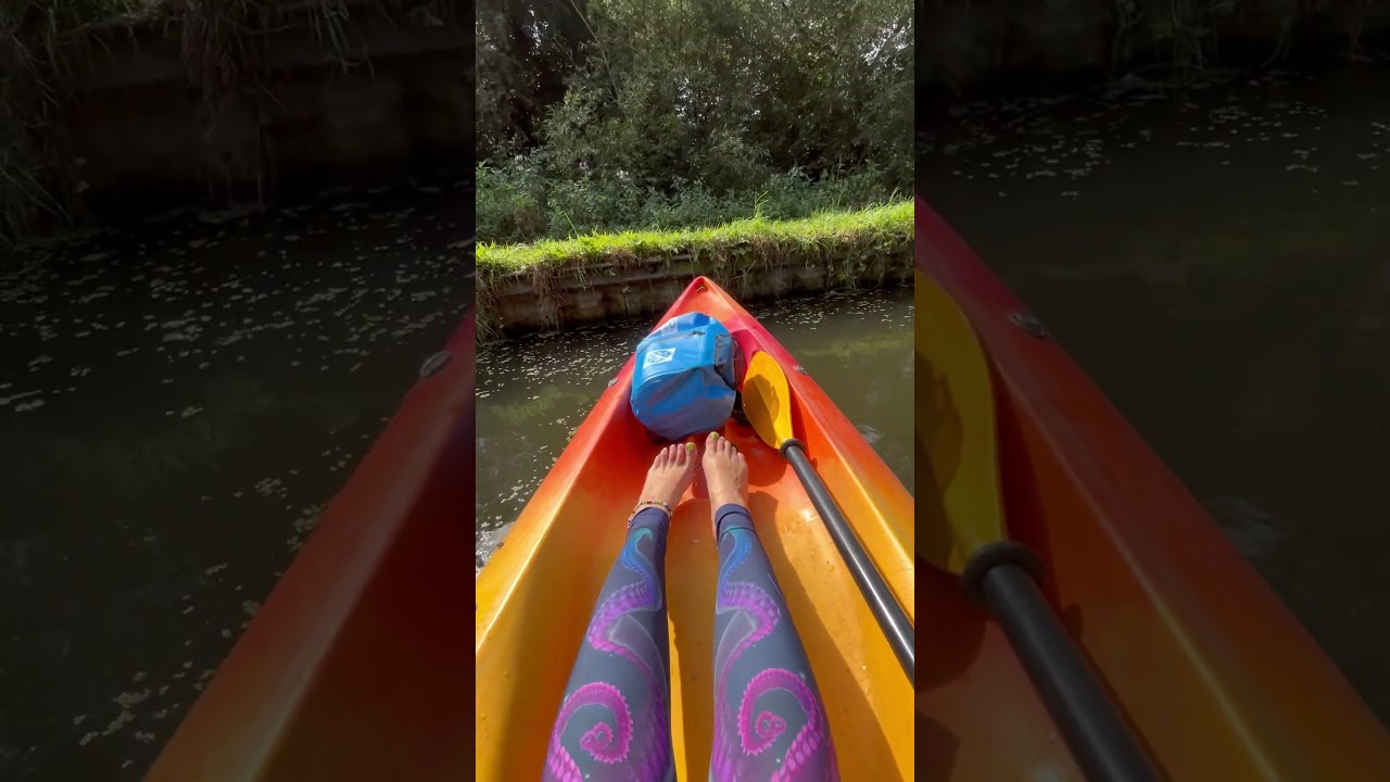 Ducklings go past my kayak at beautiful canal