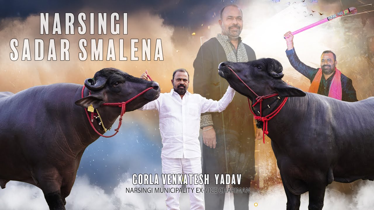 Narsingi Sadar 2024 | Gorla Venkatesh Yadav Sadar Sayyata 2024 | Goral Venkatesh Yadav Sadar 2024