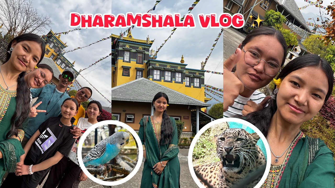 Vlog ✨Day 1 In Dharamshala 🏔️🤩 | Visited Nunnery, Monastery and Zoo 🦁 | Peaceful Day 🤍#dharamshala 