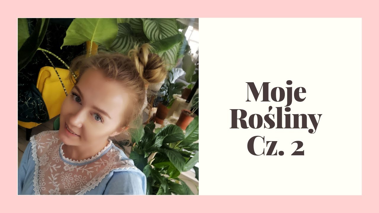 Moja Kolekcja Roślin cz.2 Maranty Calathea Begonia Strelicja