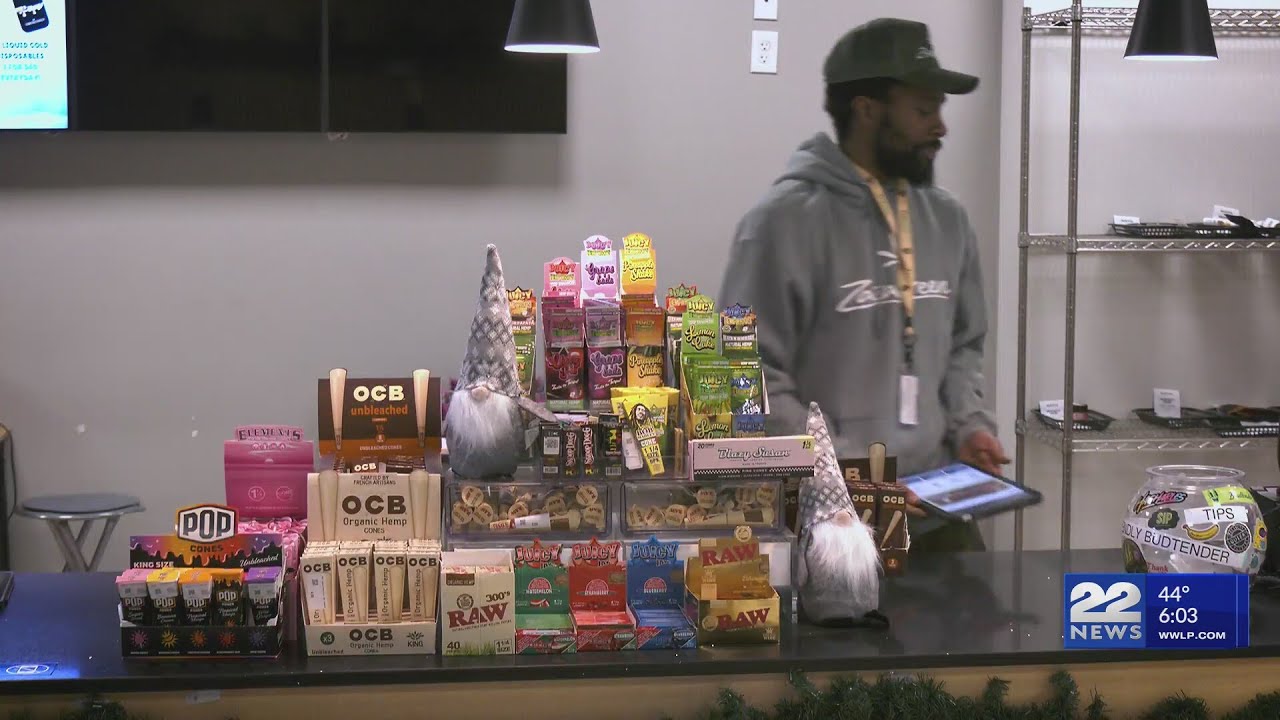 Cannabis caf&eacute;s and lounges are set in Massachusetts