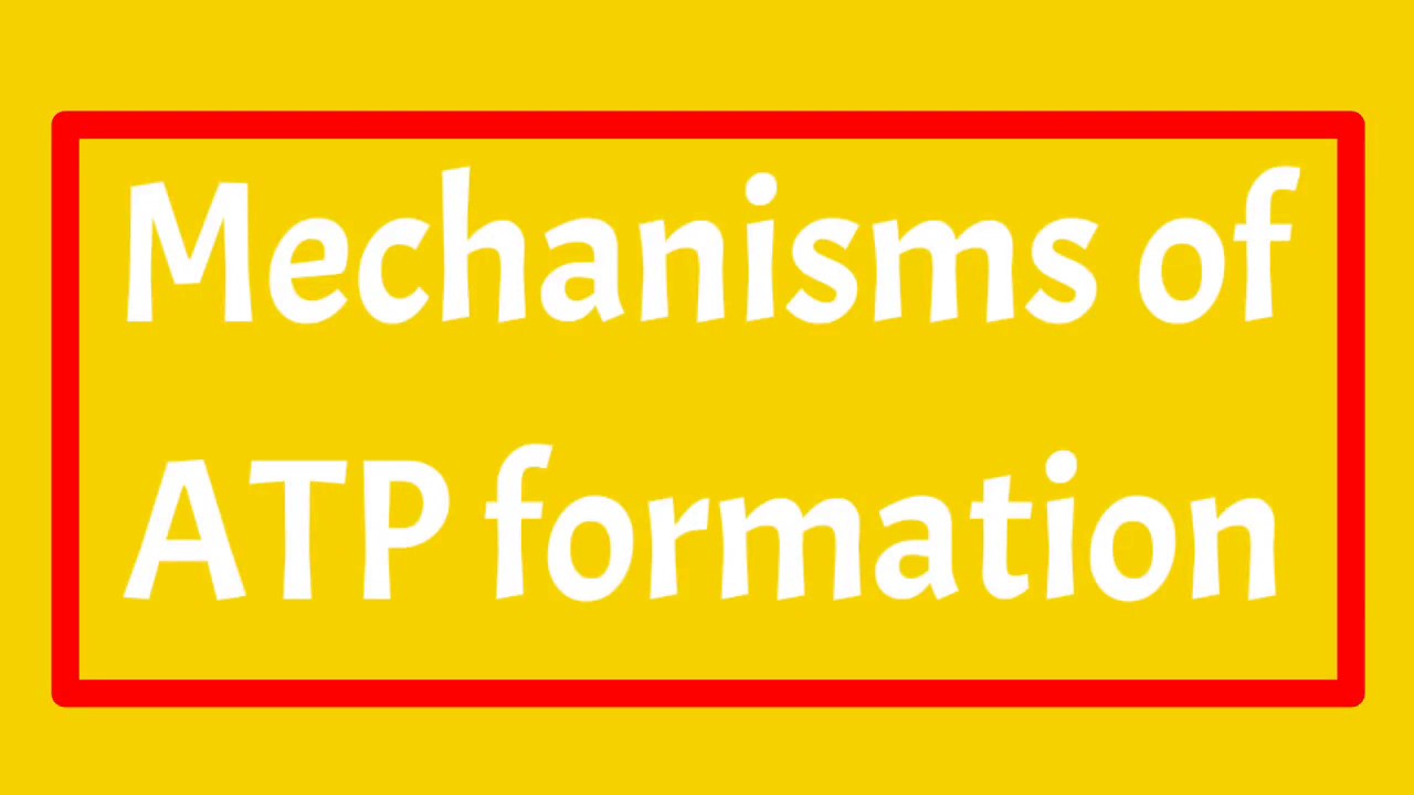 Mechanisms of ATP formation || Substrate Level Phosphorylation & oxidative phosphorylation |Examples