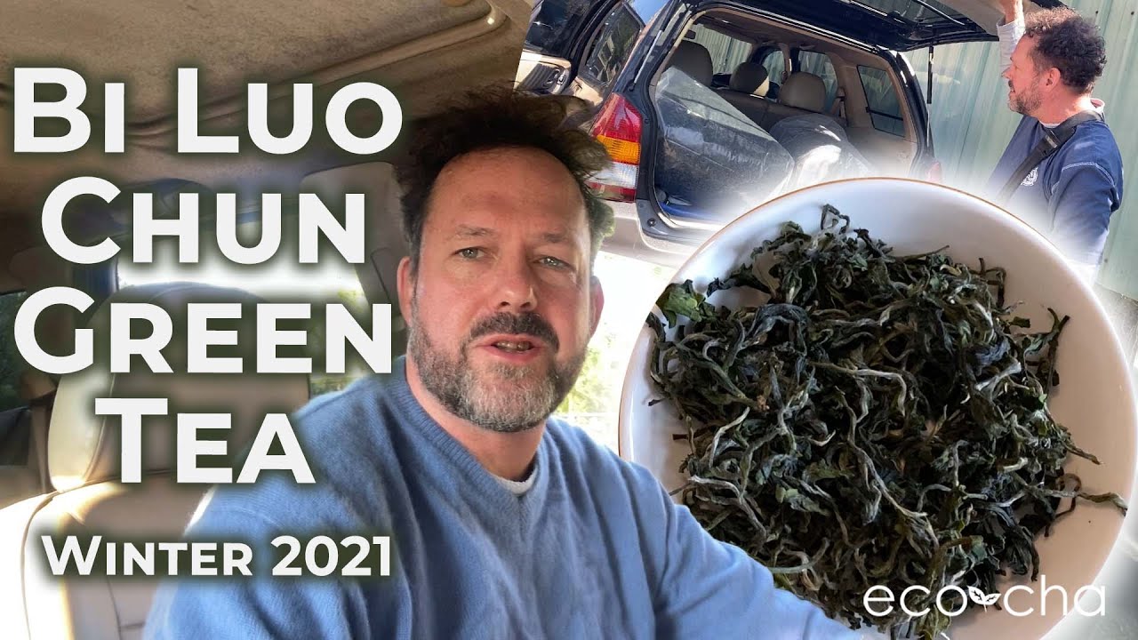 Taiwan Bi Luo Chun Green Tea Winter 2021 | Eco-Cha Teas